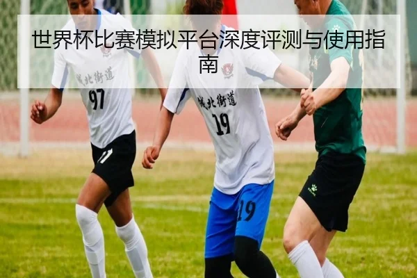 世界杯比赛模拟平台深度评测与使用指南