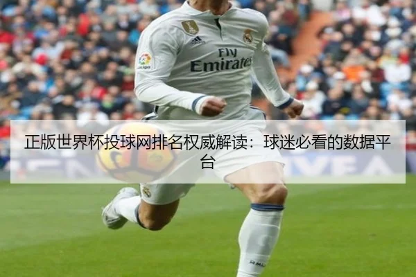 正版世界杯投球网排名权威解读：球迷必看的数据平台