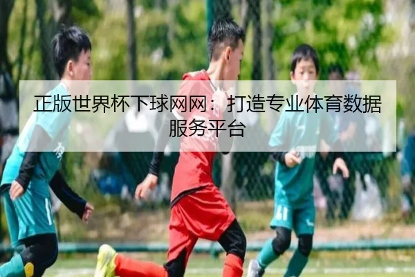 正版世界杯下球网网：打造专业体育数据服务平台