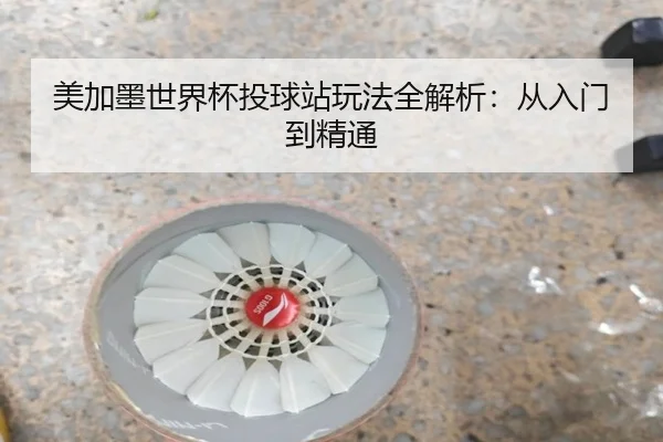 美加墨世界杯投球站玩法全解析：从入门到精通